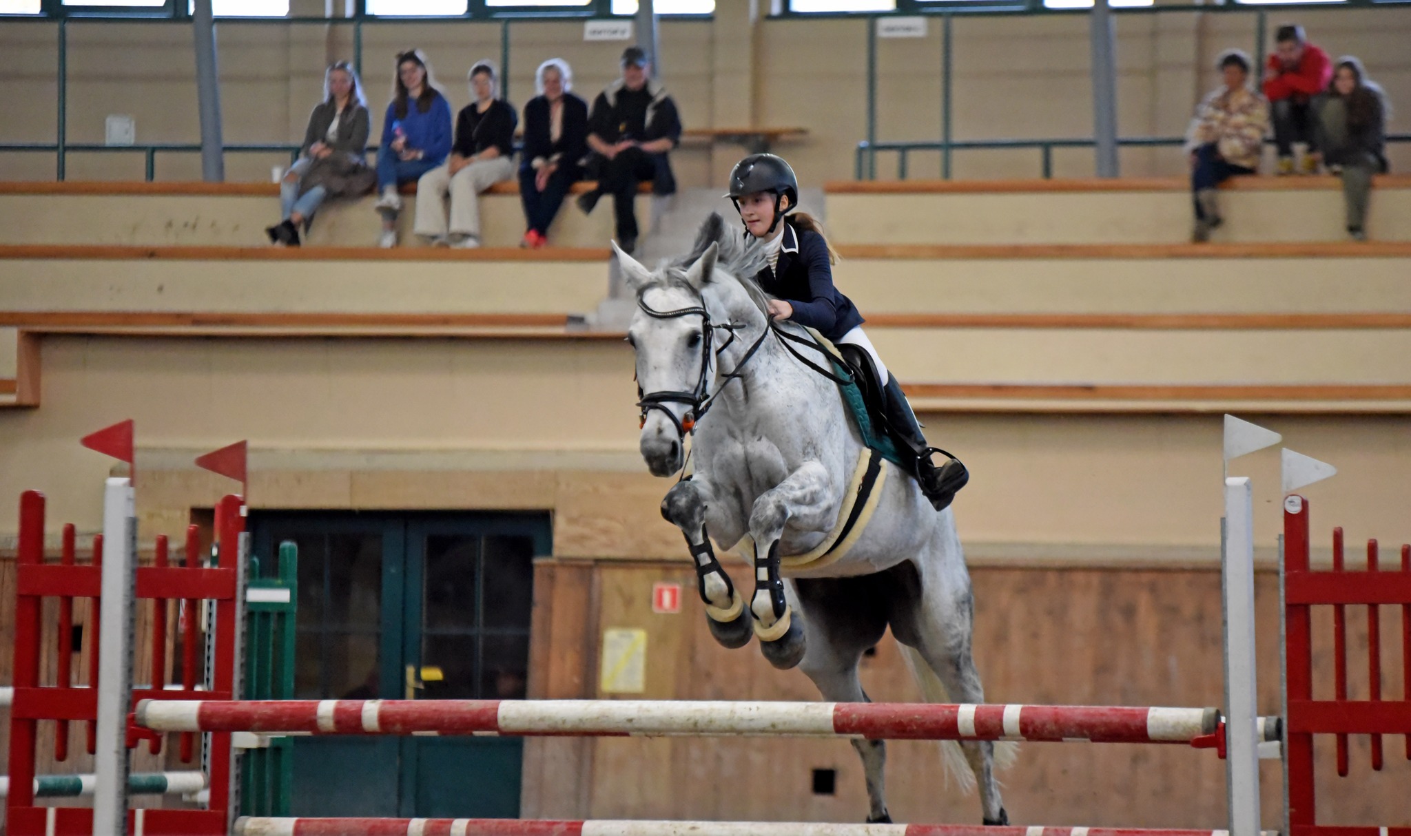 Wrocławskie halowe zawody w skokach przez przeszkody