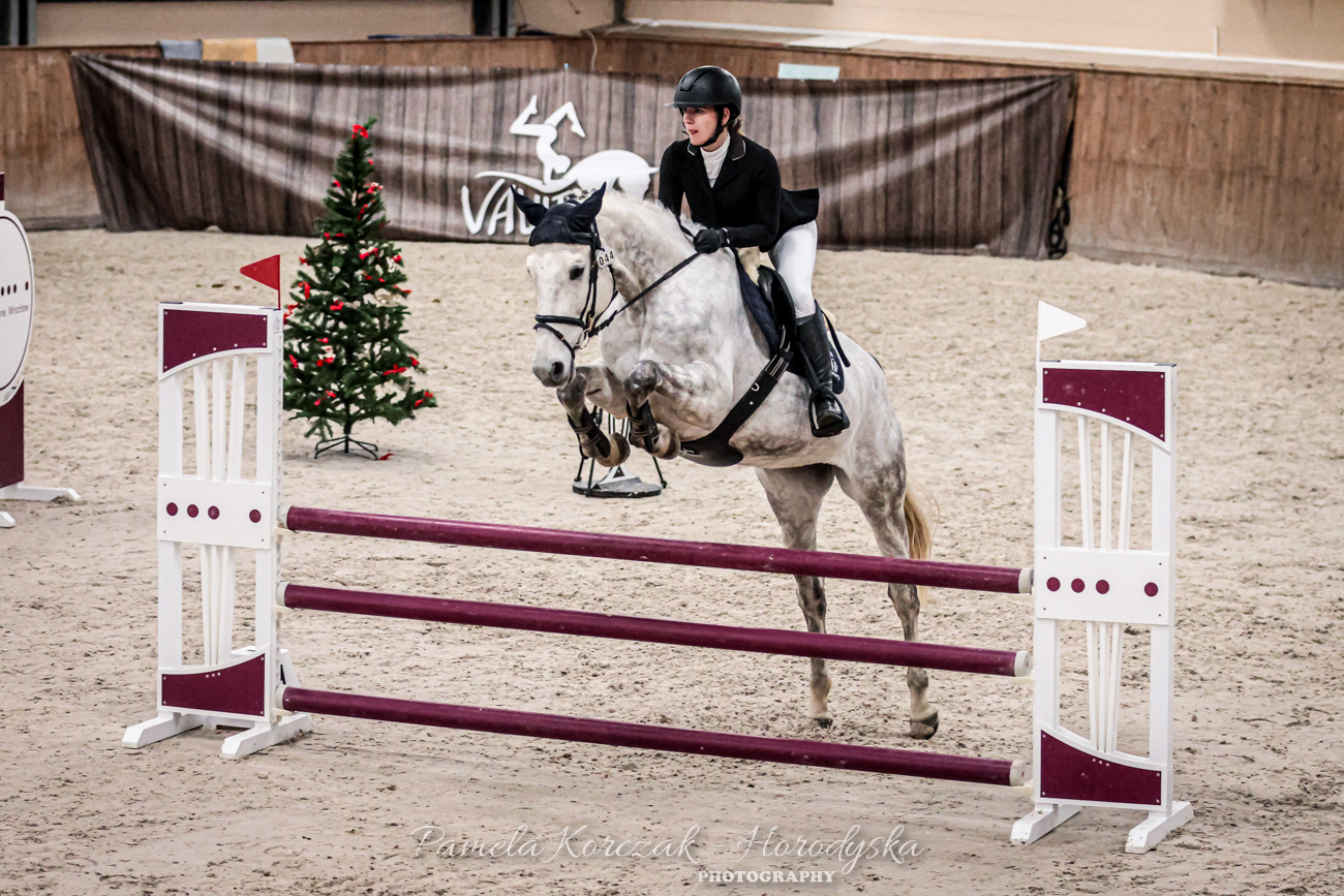 Wrocławskie świąteczne halowe zawody w skokach przez przeszkody