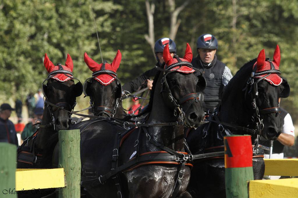 Mistrzostwa Polski w powożeniu zaprzęgami parokonnymi – Książ – Wałbrzych
