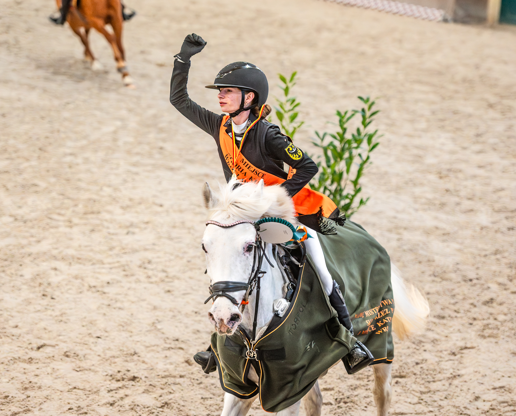 Zapraszamy do zgłoszeń na Mistrzostwa w ujeżdżeniu