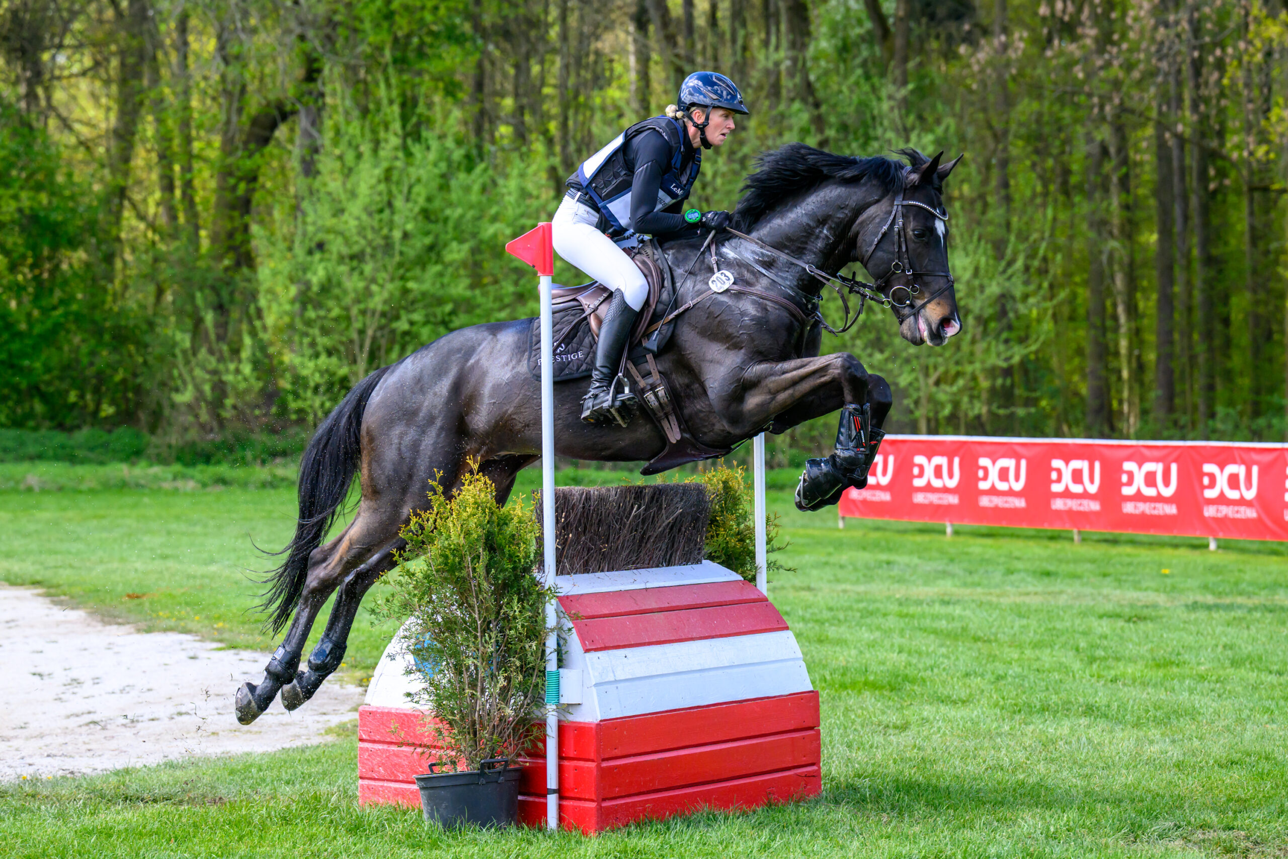 Reprezentanci Nowej Zelandii wygrywają najważniejsze konkursy – Strzegom Spring Open zakończony