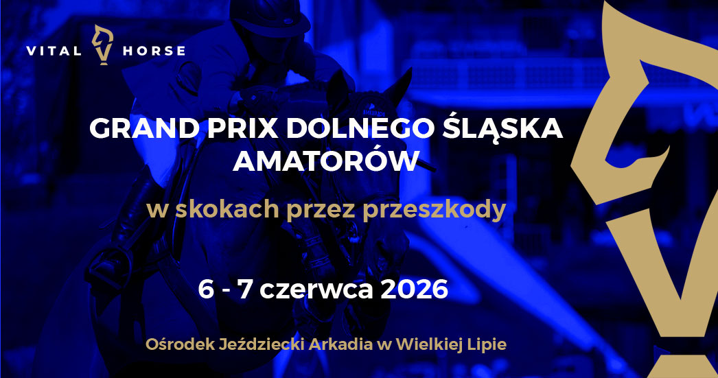 Zawody w skokach w Wielkiej Lipie
