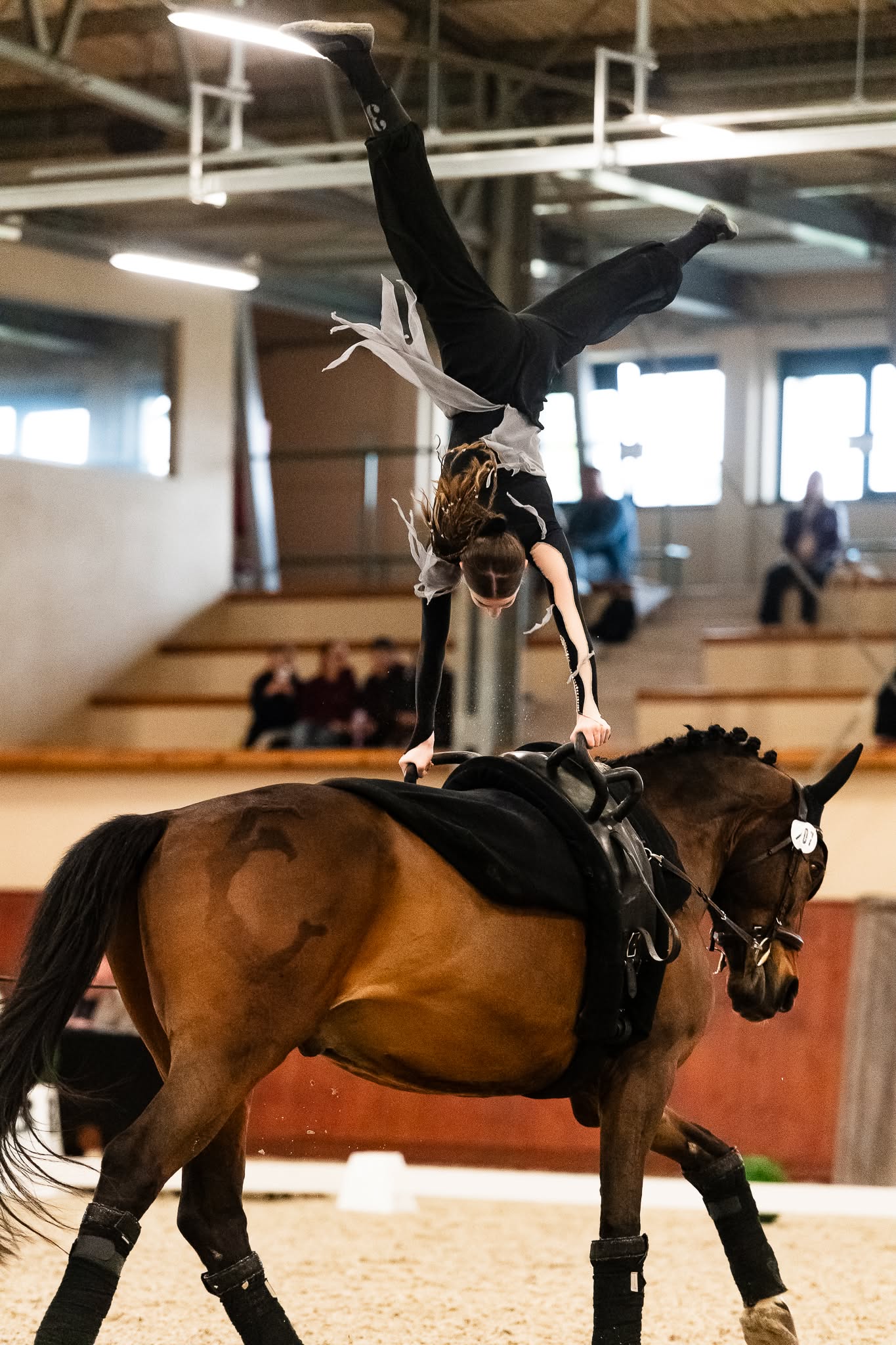CVI Wrocław Vaulting 2026